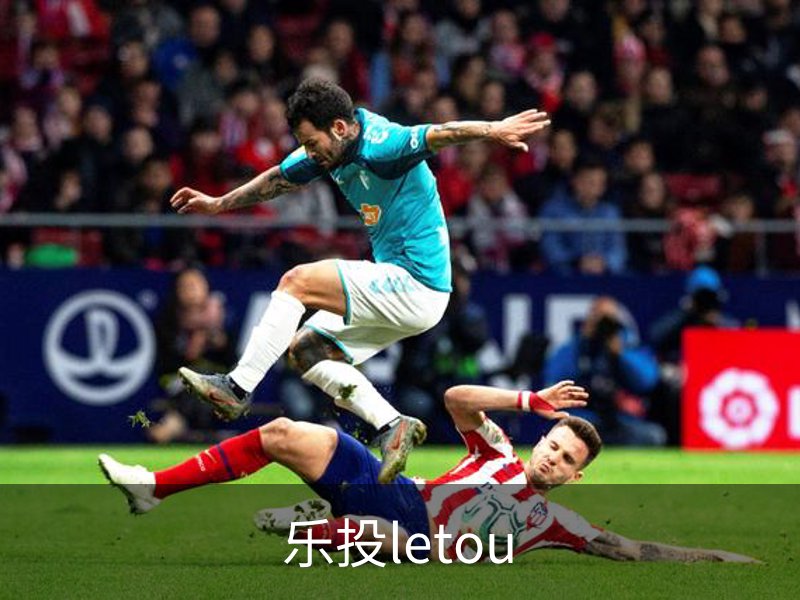 乐投letou概况
